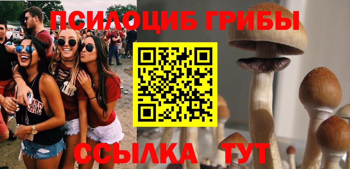 Клинцы  Галлюциногенные грибы Cubensis  Галлюциногенные грибы MAGIC MUSHROOMS  Вход с VPN 