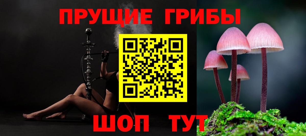 Псилоцибиновые грибы мицелий Клинцы